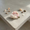 handmade seashell hair clip – coastal style