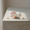 handmade seashell hair clip – coastal style