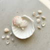 handmade seashell hair clip – coastal style
