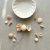 handmade seashell hair clip – coastal style